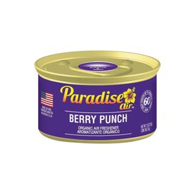 Paradise Air Berry Punch 42 gr Oda ve Araba Kokusu