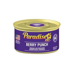 Paradise Air Berry Punch 42 gr Oda ve Araba Kokusu
