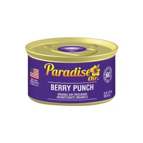 Paradise Air Berry Punch 42 gr Oda ve Araba Kokusu
