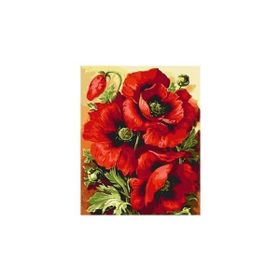 Parla 40x50 cm Gelincik Demeti Sayılarla Boyama Seti Rulo Duvar Sticker