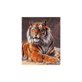 Parla 50x65 cm Güçlü Kaplan Sayılarla Boyama Seti Rulo Duvar Sticker