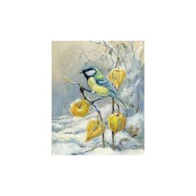 Parla 50x65 cm Kış ve Kuş Sayılarla Boyama Seti Rulo Duvar Sticker