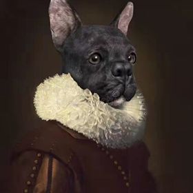 Parla Canvas Asil Köpek Sayılarla Rulo 60x75 cm Renkli Boyama Seti Duvar Sticker