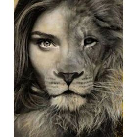 Parla Canvas Aslan Kadın Sayılarla Rulo 100x140 cm Renkli Boyama Seti Duvar Sticker