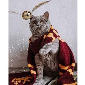 Parla Canvas Atkılı Kedi Sayılarla Rulo 40x50 cm Boyama Seti Duvar Sticker