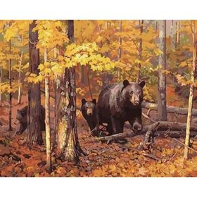 Parla Canvas Ayı Ailesi Sayılarla Rulo 40x50 cm Renkli Boyama Seti Duvar Sticker