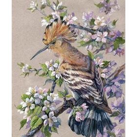 Parla Canvas Bahar ve Kuşlar 2 Sayılarla Rulo 70x90 cm Boyama Seti Duvar Sticker