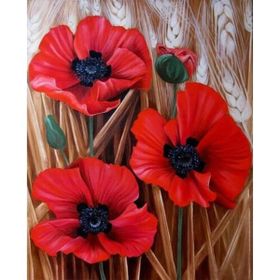 Parla Canvas Başak ve Gelincik Renkli Sayılarla Rulo 100x140 cm Boyama Seti Duvar Sticker