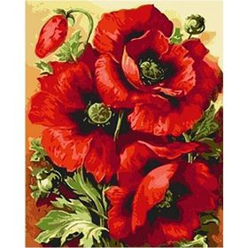 Parla Canvas Gelincik Demeti 100x140 cm Sayılarla Rulo Boyama Seti