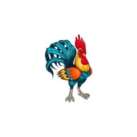 Parla Canvas Horoz Sayılarla Rulo 50x65 cm Renkli Boyama Seti Duvar Sticker