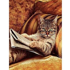 Parla Canvas Keyfekeder Kedi Sayılarla Rulo 70x90 cm Boyama Seti Duvar Sticker