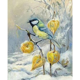 Parla Canvas Kış ve Kuş Sayılarla Rulo 70x90 cm Boyama Seti Duvar Sticker