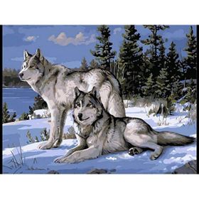 Parla Canvas Kurt Bakışı Rulo 70x90 cm Renkli Sayılarla Boyama Seti Duvar Sticker
