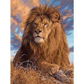 Parla Canvas Lider Aslan Sayılarla Rulo 60x75 cm Boyama Seti Duvar Sticker
