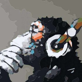 Parla Canvas Maymun Rulo 40x50 cm Renkli Sayılarla Boyama Seti Duvar Sticker