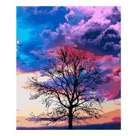 Parla Canvas Renkli Gökyüzü Sayılarla Kasnaklı 60 x 75 cm Boyama Seti
