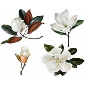 Parla Canvas Sade Çiçekler 6 Sayılarla Rulo 90x110 cm Boyama Seti Duvar Sticker