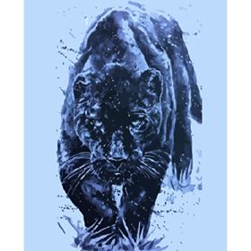 Parla Canvas Siyah Kaplan Rulo 60x75 cm Renkli Sayılarla Boyama Seti Duvar Sticker