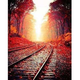 Parla Canvas Tren Rayları Rulo 60x75 cm Renkli Sayılarla Boyama Seti Duvar Sticker