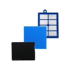 Parmis Electrolux Uyumlu EPF61RRT Power Force Süpürge Sünger Filtresi Seti
