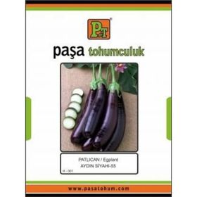 Paşa Tohumculuk 10 gr Aydın Siyahi Patlıcan Tohumu