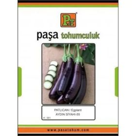 Paşa Tohumculuk 10 gr Aydın Siyahi Patlıcan Tohumu
