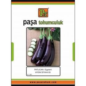 Paşa Tohumculuk 10 gr Aydın Siyahi Patlıcan Tohumu