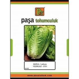 Paşa Tohumculuk 10 gr Yedikule Marul Tohumu
