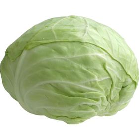 Paşa Tohumculuk 25 gr Lahana Tohumu