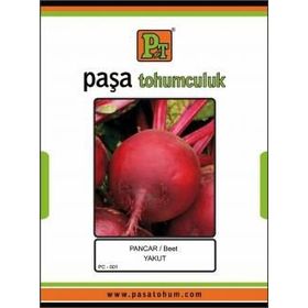 Paşa Tohumculuk 25 gr Yakut Pancar Tohumu