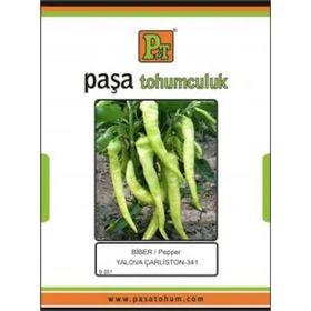 Paşa Tohumculuk 25 gr Yalova Çarliston Biber Tohumu