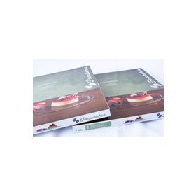 Paşabahçe 10673 Petite Patisserie Büyük Servis Tabağı