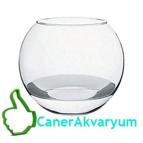 Paşabahçe 43427 Flora Cam Akvaryum Fanusu