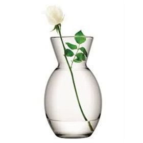 Paşabahçe 43726 Botanica Vazo