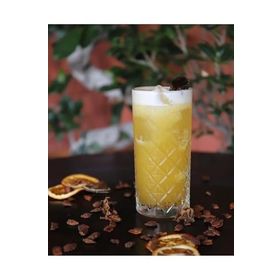 Paşabahçe 52820 Timeless 6 Adet Long Drink 295 CC Meşrubat Kokteyl Bardağı