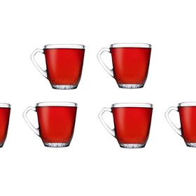 Paşabahçe 6 Adet Mercan Kulplu Bardak