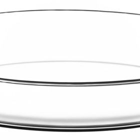 Paşabahçe Borcam Oval Tepsi