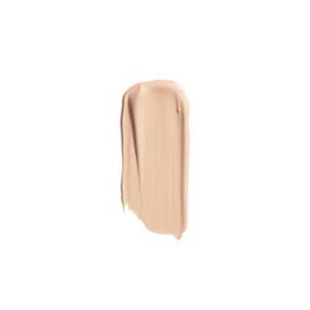 Pastel No 301 Show Cover Perfect Spf30 Smooth Wear Concealer