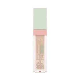 Pastel No 303 Show Cover Perfect Spf30 Smooth Wear Concealer
