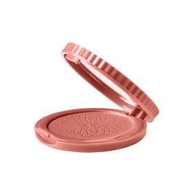 Pastel Pretty Cheeks 17 Allık