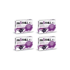 Pasthill Sambucus Nigra Beta Glukan 4x24 Pastil