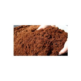 Patika Botanik 10 lt Cocopeat Hindistan Cevizi Torfu