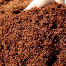 Patika Botanik 10 lt Cocopeat Hindistan Cevizi Torfu