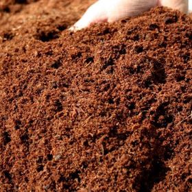 Patika Botanik 10 lt Cocopeat Hindistan Cevizi Torfu