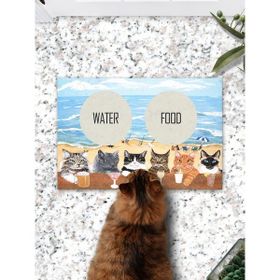 PatiPeti Summer Cats Kedi Köpek Eğitim Mama Paspası ve Beslenme Altlığı