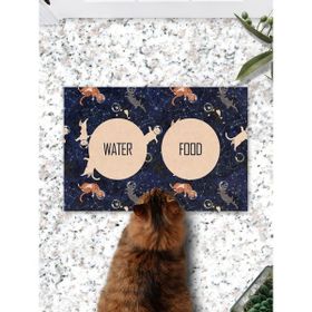 PatiPeti Uzaylı Kediler Kedi Köpek Eğitim Mama Paspası ve Beslenme Altlığı