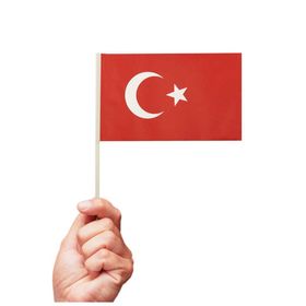 Patladı Gitti 20x12 cm 10 Adet Çubuklu Kağıt Türk Bayrağı Çıtalı Sopalı Saplı Ay Yıldız Baskılı Bayrak