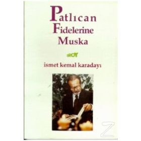 Patlıcan Fidelerine Muska - İsmet Kemal Karadayı