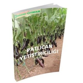 Patlıcan Yetiştiriciliği - Zir. Yük. Müh. Hüsnü Çınar Aybak