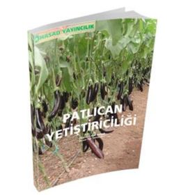 Patlıcan Yetiştiriciliği - Zir. Yük. Müh. Hüsnü Çınar Aybak